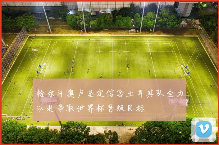 恰尔汗奥卢坚定信念土耳其队全力以赴争取世界杯晋级目标
