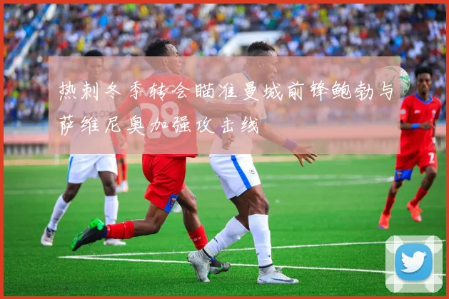 热刺冬季转会瞄准曼城前锋鲍勃与萨维尼奥加强攻击线